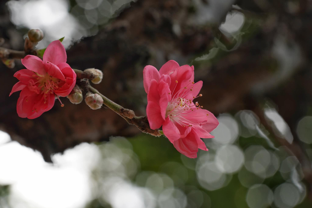 [Image: 420820758-2102638316769740-6954233681874169500-n.jpg]