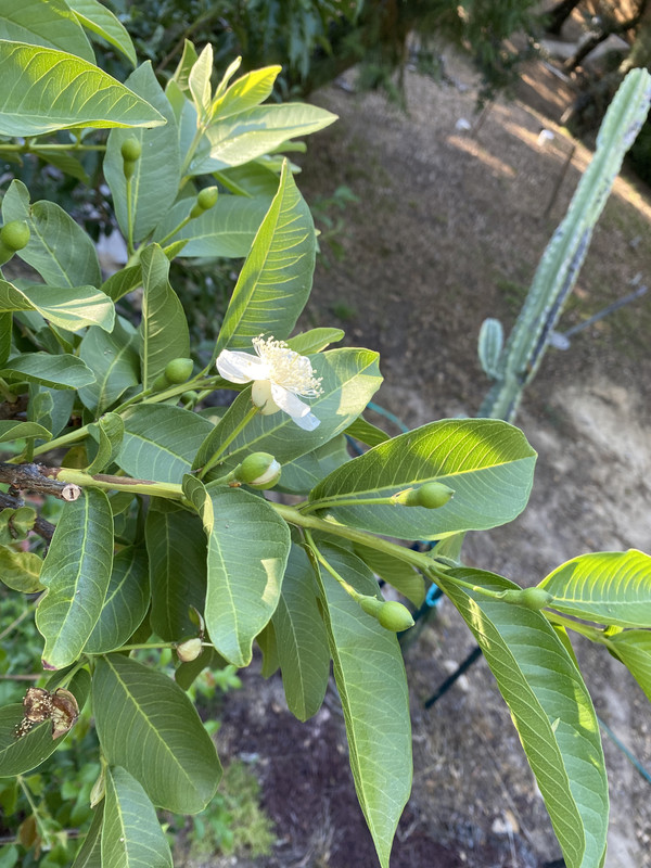 9676B0D7-7B31-481D-921F-160C2E70E7A5