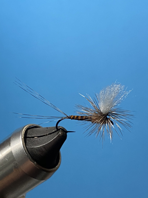 45E03786-2A5B-4F2F-995F-A896629572E9