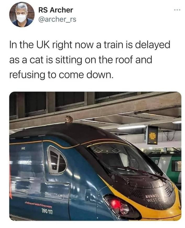 9EA6F268-500E-46C3-B41B-CC3FC0F5E40B