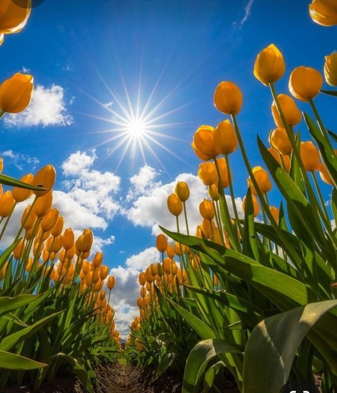 Screenshot_20240305_224154_Pinterest