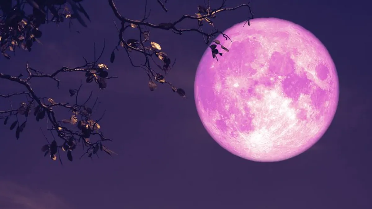 ¿Qué rituales de la Luna Rosa de abril puedes hacer para atraer dinero y amor?