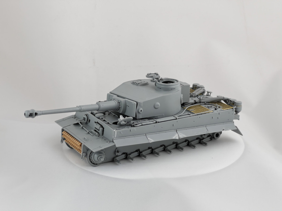 tiger131-06
