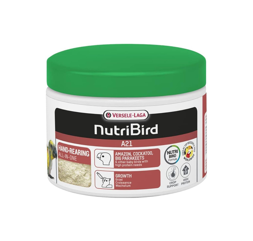 51NFUv4hYZL._AC_UF1000,1000_QL80_