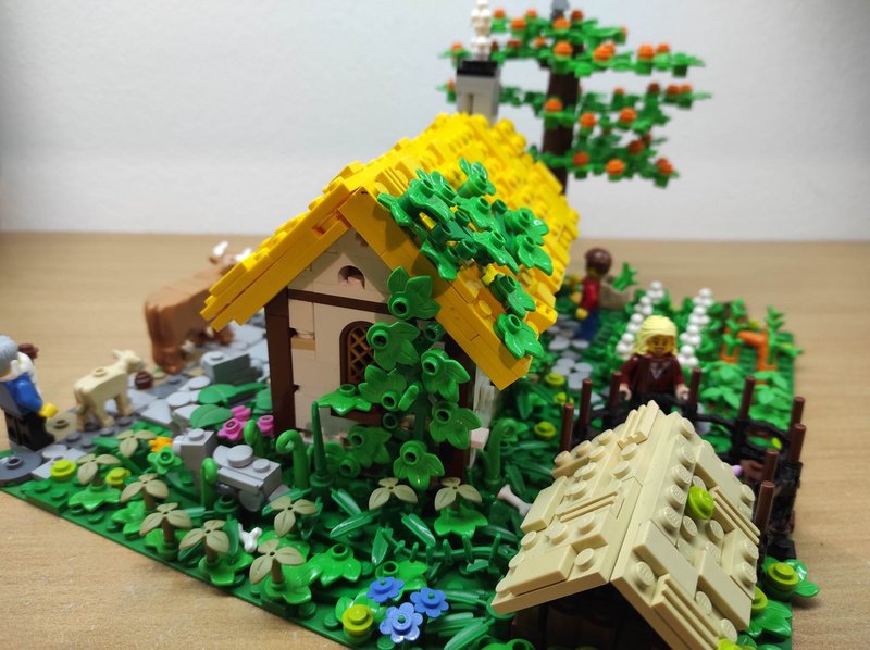 338486578-747417256895286-20141612810476