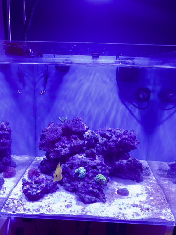 Foto 04-05-18, 19 36 15 (1)