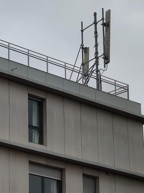 IMG-20190623-165959-1.jpg