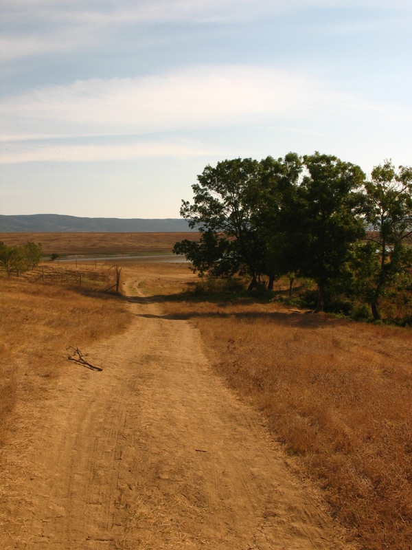 Teknival BG 2013 (121)