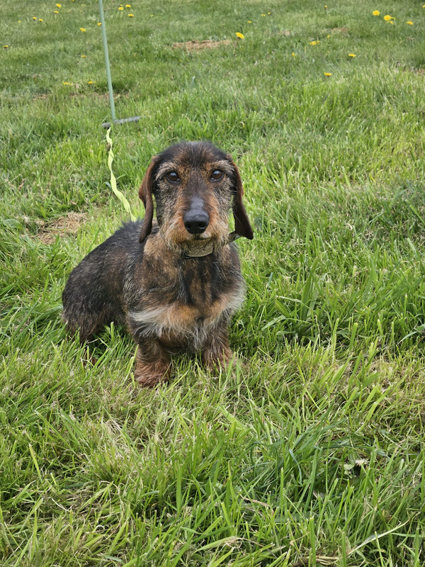 [Image: IMG-20240325-WA0005.jpg]