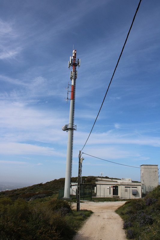 20210406155734_IMG_0245