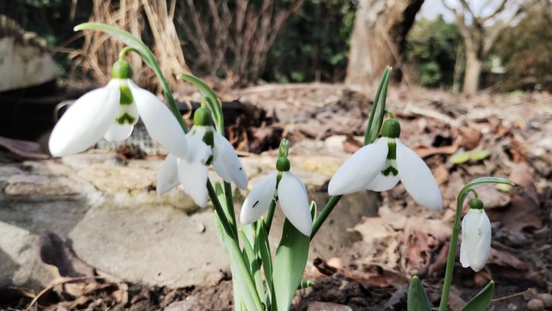 изображение_viber_2024-02-14_11-34-58-036