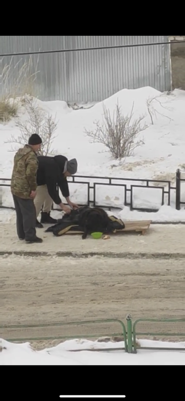 453FD6D5-75BB-47FB-AFBA-BA90C0FF7DE1