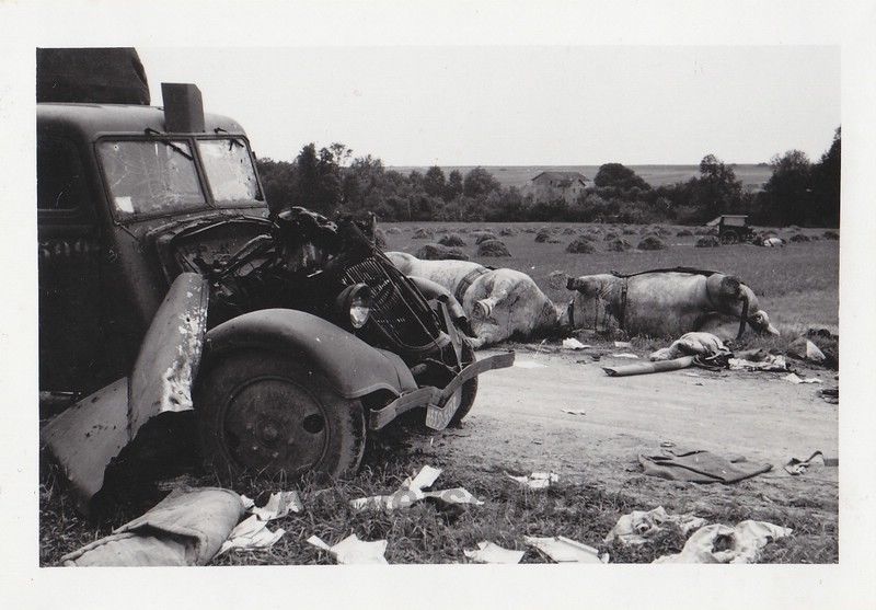 verendete Pferde am zerstörten französischen LKW
