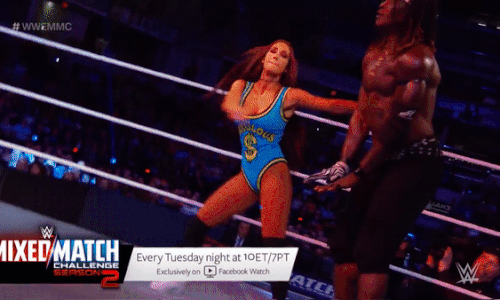 mmc1.gif