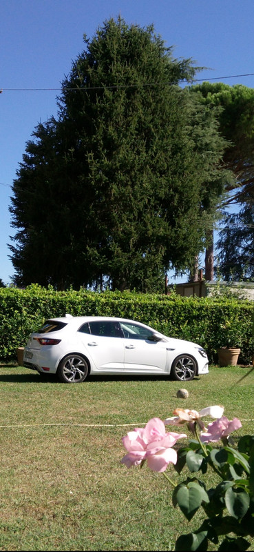 Screenshot_20200105-015113_Gallery