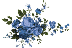 IMG-0786.png