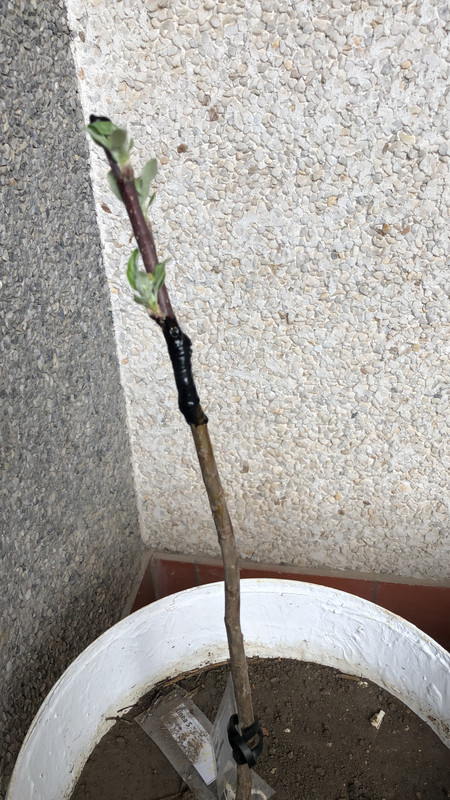 63803919-BFAB-49F9-A793-CCA556A6B199