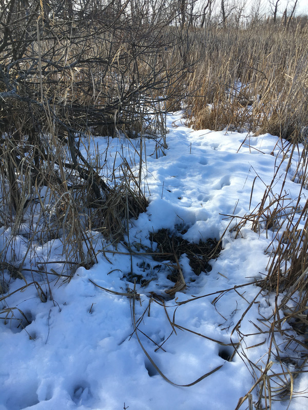 48DC36C5-D379-4D67-B9B5-D350BC6ADFB0