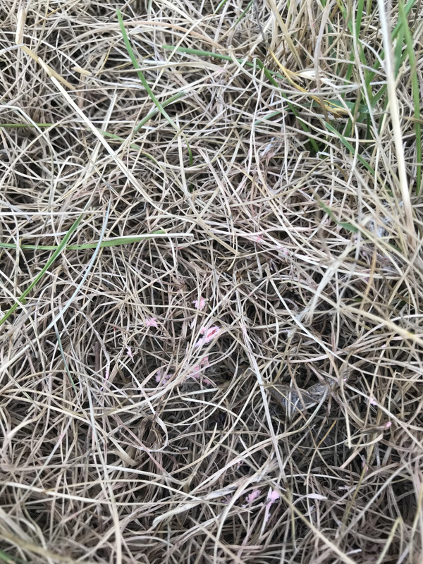 3B5167AB-DAA0-4AFB-94EF-EA5FB9796F42