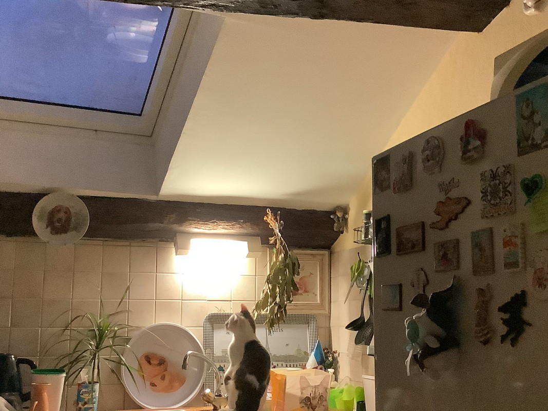 E2DDF22B-6D86-4C75-BBFC-22F258A4E297