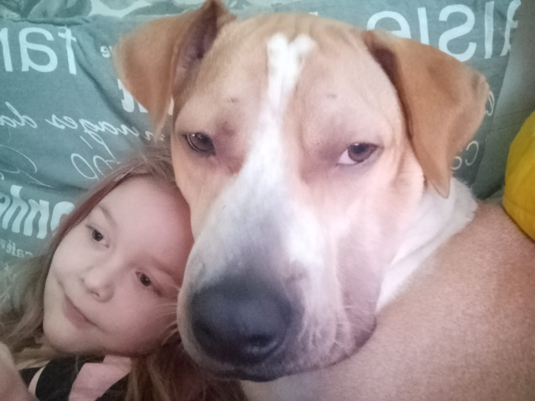 AE9BA898-00C4-4FA0-9BC9-D9874DDC6337