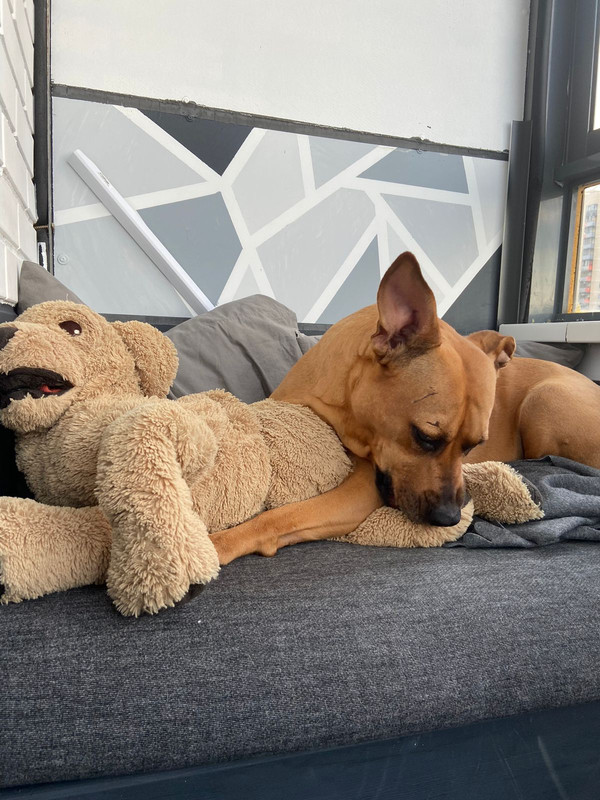 175B7636-740D-48C7-86F9-F8859C04268B