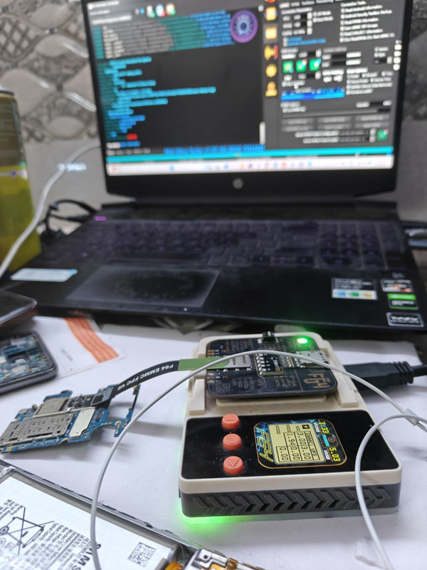 photo 2026 01 19 11 06 22