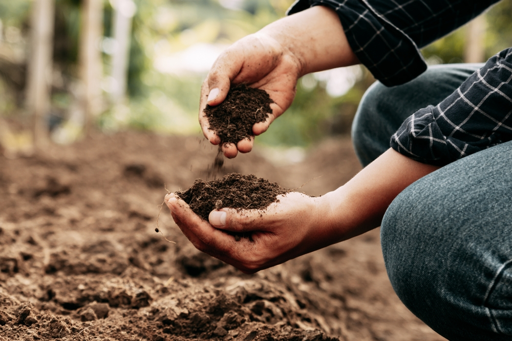 Understanding The Crucial Role Of Soil Testing In Construction Projects