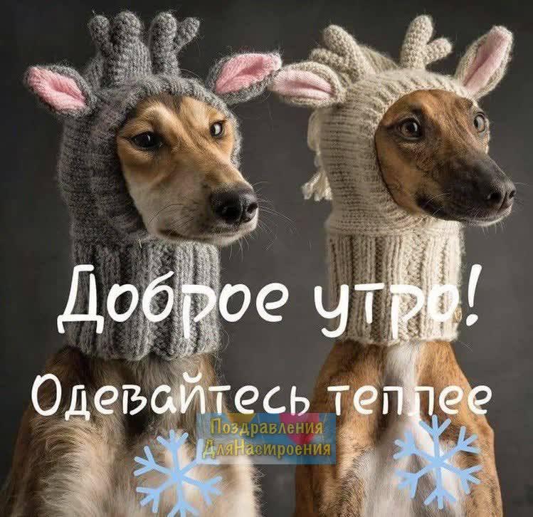 AF9A264A-8835-4299-8D36-076404C2ECD3