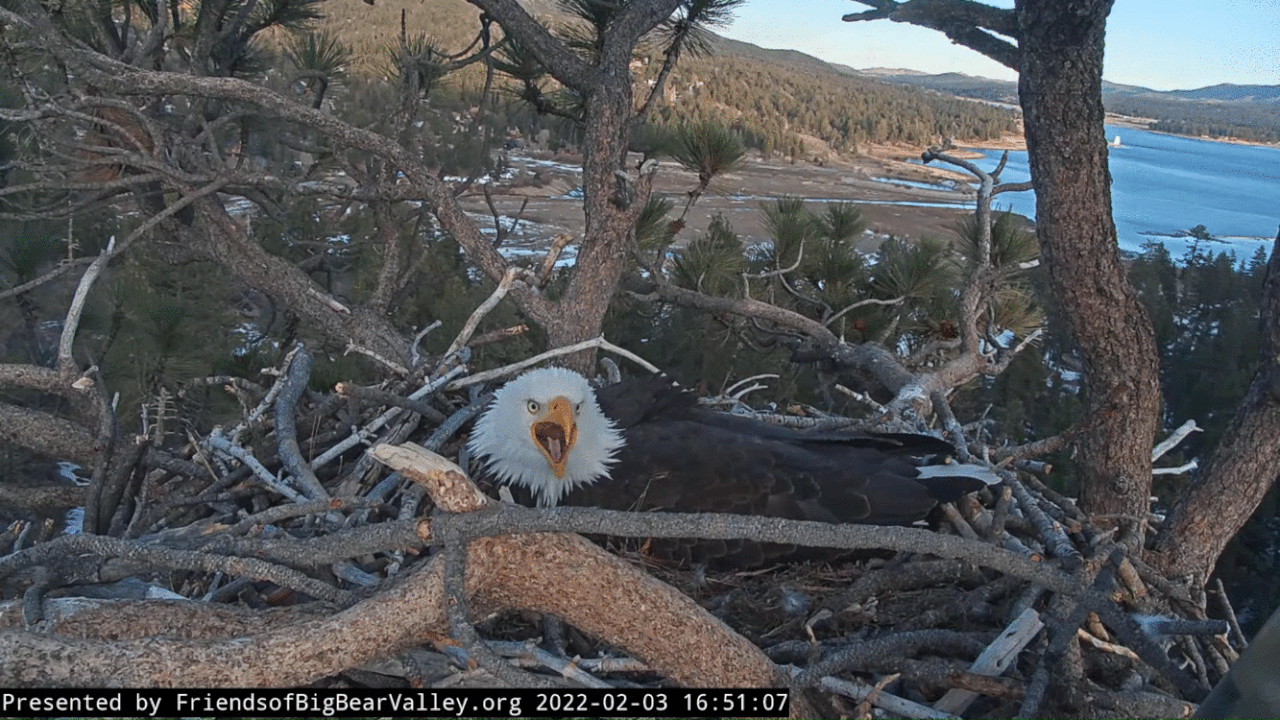 Webp.net-gifmaker (1)