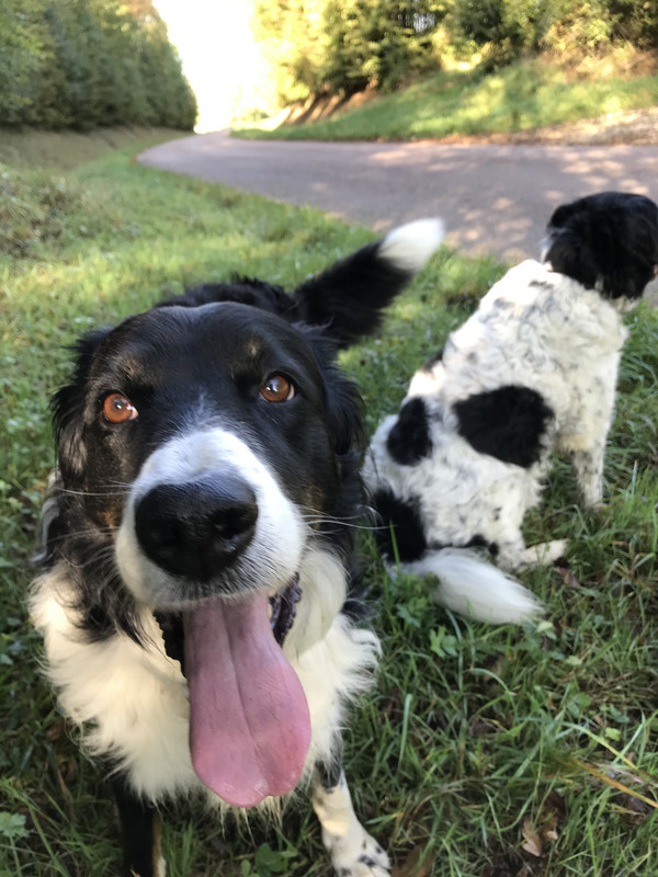 08ABDEC4-42A3-411A-B1E7-B58BAEA6C5DB