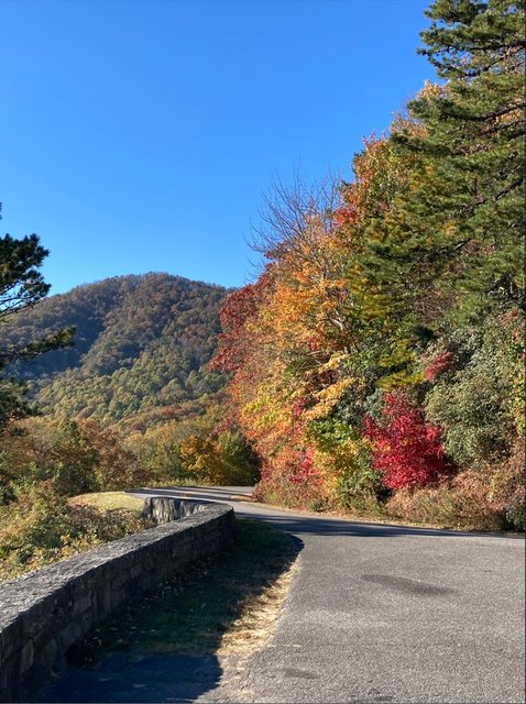 [Image: NCBlue-Ridge-Parkway2022-Fall2.jpg]