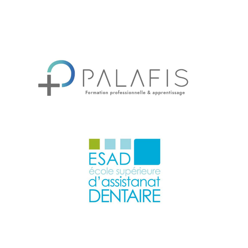 Palafis ESAD