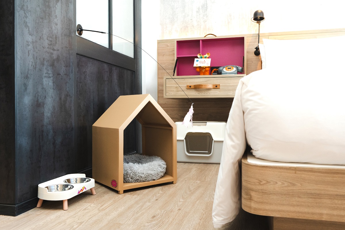 L BKKOX Pet Friendly Set up CAT