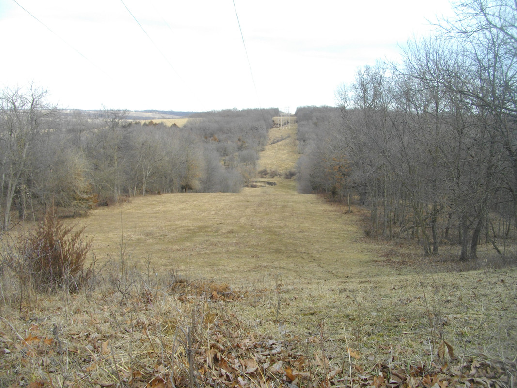 IMGP8469