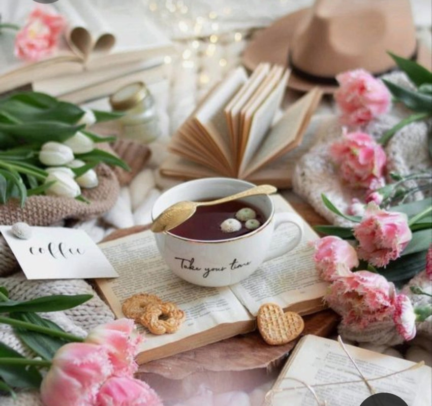 Screenshot_20230225_012714_Pinterest