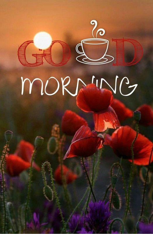 high-quality-good-morning-4k-hd-images