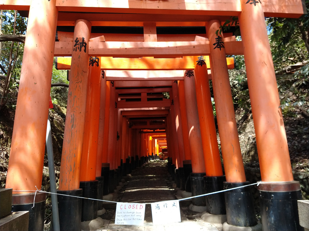 MARTES 11 - KYOTO Inari - Tofuku-ji, - Uji - JAPON. UNA GRAN AVENTURA , SIN ENAMORAMIENTO FINAL (5)