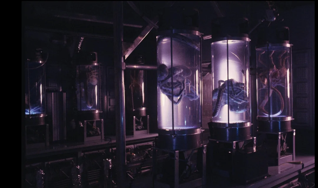 [Image: the-medlab-original-look-vs-bluray-v0-33...089f1.webp]