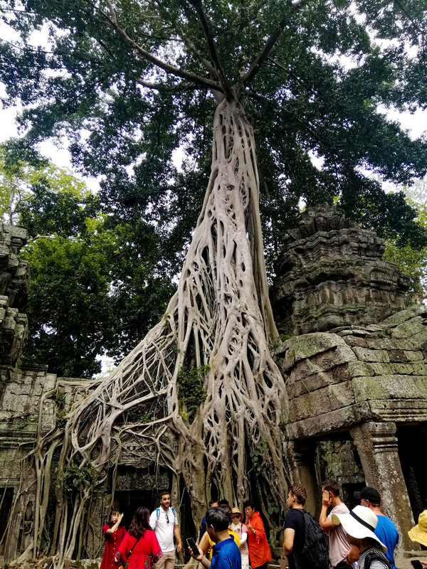 angkor watt