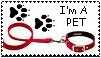 pet