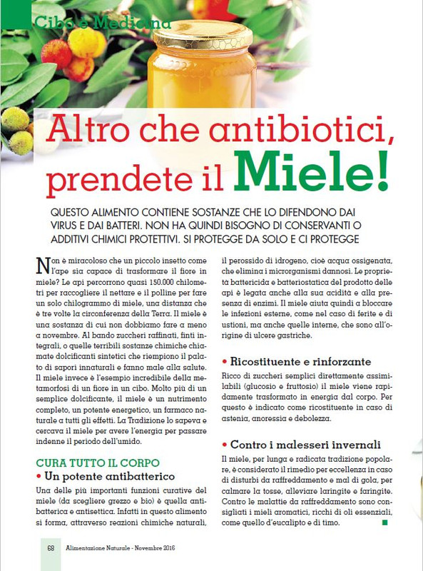 Alim Nat Nov 2016 (7)