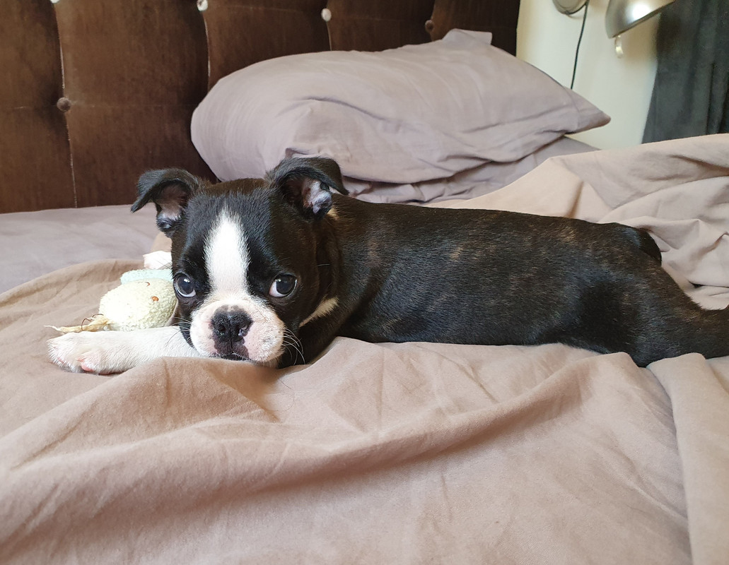 F987C520-40AF-48ED-9783-EBA6ABB2C415