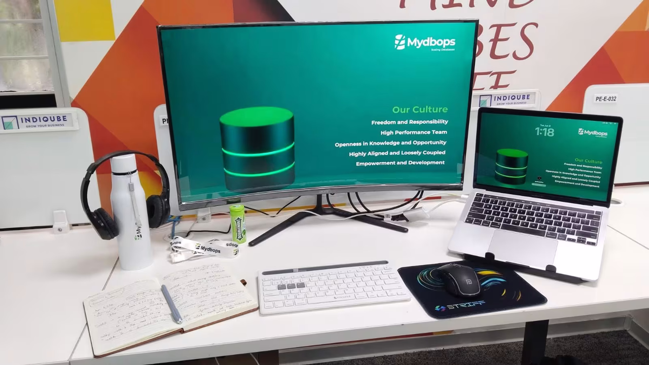 Curved Developer Displays Setup