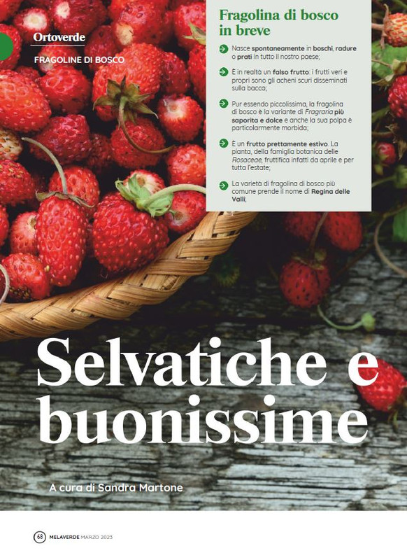 melaverde Mar 2023 (7)