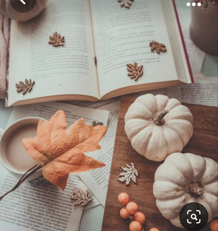 Screenshot_20230928_223751_Pinterest