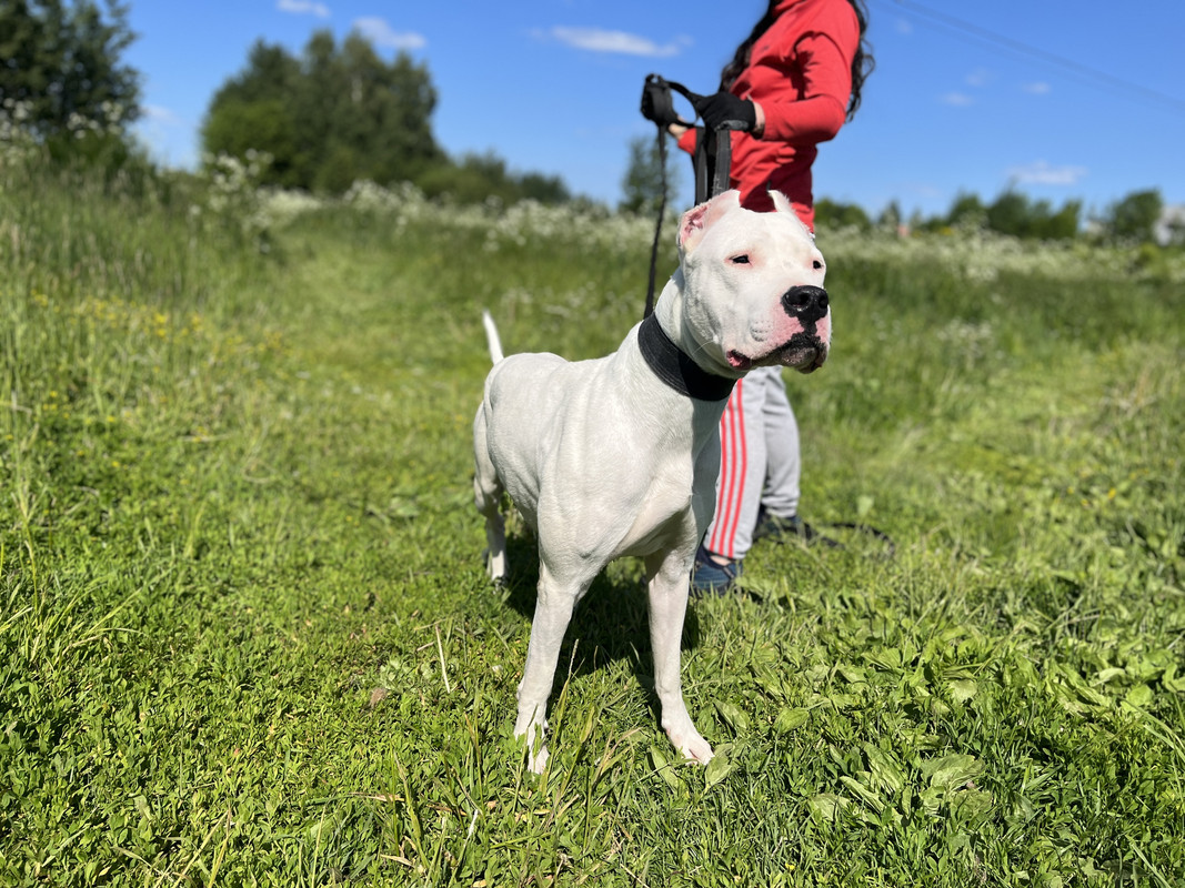 9C977412-BCD2-40BA-9C04-7D7A150866F0