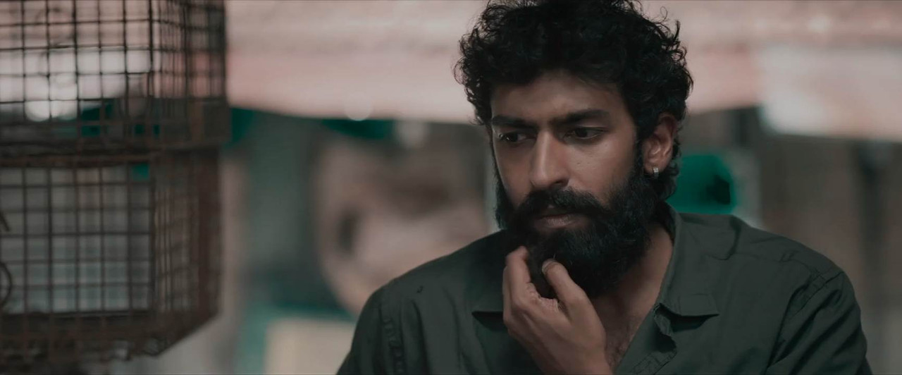 Pepe 2024 WebRip [Hindi + Tamil + Malayalam + Kannada] 480p 720p ESub Screenshot