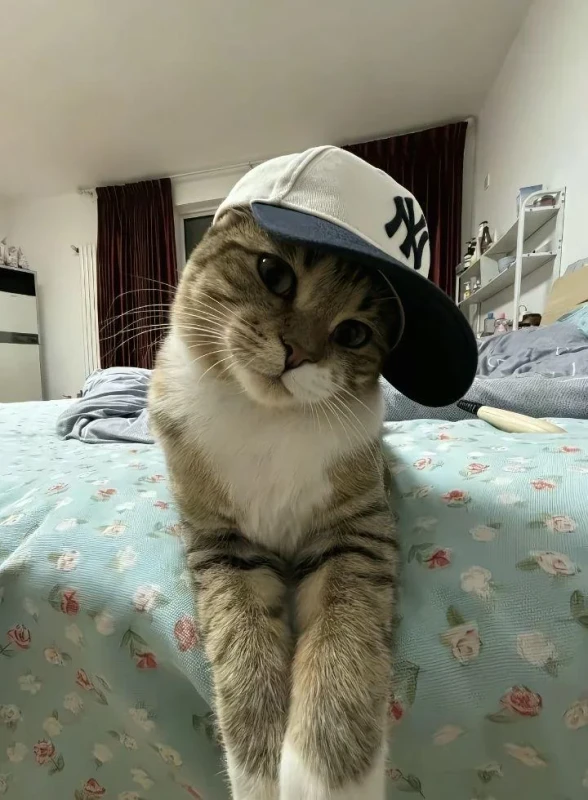 RDT 20260209 1424197160576939996035477