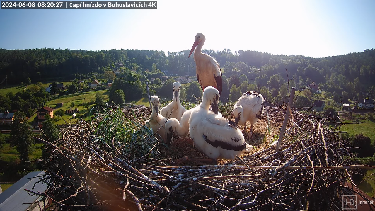 Tiešraidē no uzņēmuma KARA stārķa skursteņa Bohuslavicē pie Trutnovas 10-32-13 screenshot